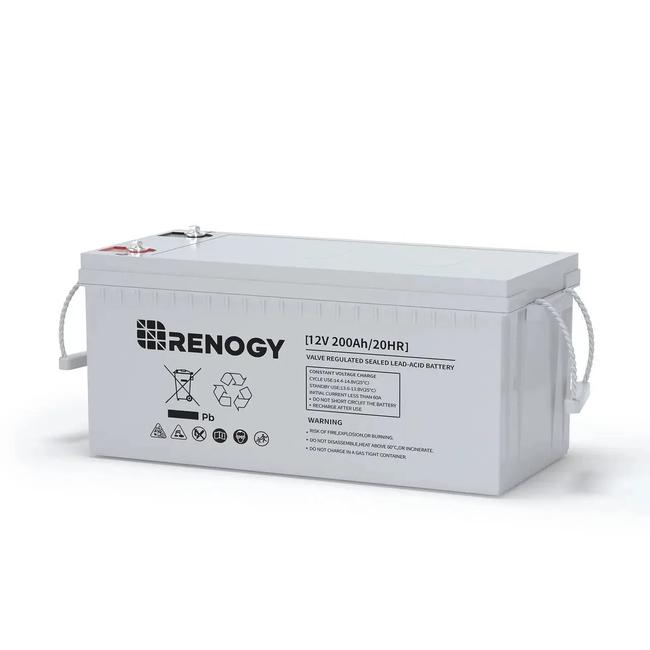 Renogy DeepCycle AGM Battery 12V100Ah